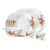Larah By Borosil Red Iris Fluted Series Opalware Dinner Set | 13 Pieces For Family Of 4 | Microwave & Dishwasher Safe | Bone-Ash Free | Crockery Set For Dining & Gifting | Plates & Bowls | White