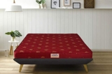 Springtek Amaze Eco Premium High Density Foam Mattress | 4 Inches Quilted Anti-Microbial Fabric Eco HD EPE Foam Mattresses | Single Size Gadda | 72×30 Inches
