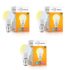 Amazon Brand – Solimo Stainless Steel Water Bottle, Set of 2, 1 L Each (Elate)