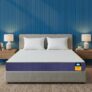 Centuary Mattresses Sleepables 8-Inch King Size Orthopedic Memory Foam Back Support Pressure Relieving Roll Pack High Resilience (HR) Foam Mattress | 10 Years Warranty | (78x72x8)