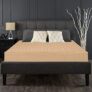 Coirfit SLEEPSPA Orthopedic Comfort Mattress Queen Size 75x60x4 – High-Density (HR) Foam with Pressure-Relieving Brezza Coir | Back Pain Relief, Durable Construction | Enhances Sleep Experience