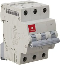 Havells DHMGCTPF006 PVC Plastic 6A MCB TP C Curve (White)