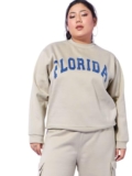 Sassafras Curve Women Grey Fleece Florida Sweatshirt 3XL