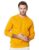 Amazon Brand – Symbol Men’s Regular Fit Cotton Blend Crew Neck Sweatshirt (SYM-A23-SW-53_Yellow,Raglon_S)