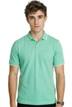 Allen Solly Mens Regular T Shirt Green