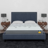 Centuary Mattresses Sleepables 10 Inch Multi Layered Pocket Spring Queen Mattress (75x60x10)