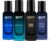 Beardo Best Day Perfume Gift Set | Long Lasting | 4 X 20 Ml Eau De Parfum  –  80 Ml(For Men)