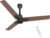Polycab Wizzy Neo With 4 Year Warranty Bldc Motor With Remote 1200 Mm Ceiling Fan(5 Star | Brown Copper | Pack Of 1)