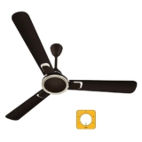 atomberg Erica Signature 1230mm BLDC Ceiling Fan | Newly Launched | Regulator Operated | Advance air+ technology | BEE rated 5 star | Low noise operation | 3 Years Warranty (Blaze Brown)