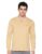 Arrow Sport Men Regular fit Cotton(ASAEOTS5336_Brown_M)