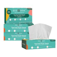 Eco Soul [2 Ply, 100 Pulls] Tree-Free Paper Facial Tissue | Pack Of 1 (100 Pulls Per Pack) | Ultrasoft & Highly Absorbent | Eco Friendly, Natural, Biodegradable | Everyday Facial Tissue