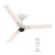 Polycab Wizzy Neo 1200mm 5-Star BLDC, Remote Ceiling fan for Living Room| 55% Energy Saving, 100% Copper, High Air Delivery, 6 Speed Setting | 4-yr Warranty,Free Installation【Beige Rosegold】