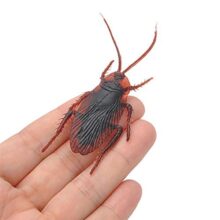 Rock World Cockroaches Prank Life Like April Fool Toy Fake Cockroach Prank Trick Toys Looks Real (Brown) For Kids Cockroach Prank Toy Suitable For Kids To Play And Give As Gifts (Pack Of 1)