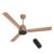 Crompton Energion Nucleoid 1200mm BLDC Ceiling Fan | Remote Control | BEE 5 Star Rated | Upto 60% Energy Efficient | 24 Watt | High Air Delivery | Low Noise | 4 Years Brand Warranty | Gilded Beige