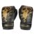 Hipkoo Sports Skeleton Heavy Boxing Gloves for Competition & Training in Boxing, MMA & Sparring Muay Thai | Suitable for Adult Men, Women & Kids (Black, 10 Oz) (1 Pair)