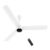 atomberg Renesa Epoque 1200mm BLDC Ceiling Fan with Remote | Advance Air+ Technology | BEE 5 star Rated | Low Noise | Sleek Design | 2 Year Warranty | Gloss White