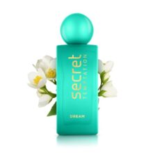 Secret Temptation Dream Eau De Parfum for Women, Long Lasting Floral and Fruity Office Wear Fragrance, 100 ml