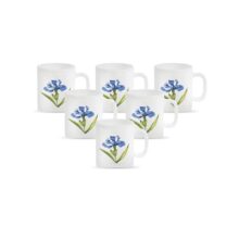 La Opala Diva, Opal Glass Crockery | Coffee Mug Cylinder Regular, Set Of 6 | Royal Iris, 190 Ml | For Tea & Coffee | Microwave Safe | 100% Vegetarian | Extra Strong | Super Light | Super White