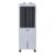 Symphony Diet 12T Personal Tower Air Cooler for Home with Honeycomb Pad, Powerful Blower, i-Pure Technology and Low Power Consumption (12L, White)