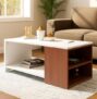 Royaloak Ivory Coffee Table | Engineered Wood | Melamine Finish | Bottom Shelf | Dual Color | Modern Design | Wooden Coffee Table