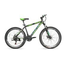 Viva ALMA 29T Multispeed Alloy 21-Speed MTB Mountain Cycle for Adults with Shimano Gear & Dual Disc Brakes (Black-Green)