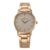 Daniel Klein Analog Glitter Rose Gold Round Dial Water-Resistant Wrist Watch for Women Girls, Ladies – DK11800-4