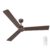 Bajaj Classico Sleek Plus 5S 1200MM (48”) BLDC Ceiling Fan with Remote | BEE 5 Star Rated Energy Efficient | Power Saving | Sleek Compact Design | High Air Delivery |2-Year Warranty |Red Walnut