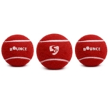 SG Heavy Tennis Cricket Ball – Power • Durability • Strong Bounce