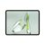 OnePlus Pad Go 28.85Cm 2.4K 7:5 Ratio Readfit Eye Care LCD Display, Dolby Atmos Quad Speakers, 4G LTE(Calling) + Wi-Fi Connectivity Tablet, 8GB RAM 128 GB Storage Expandable Up-to 1TB Asin, Green