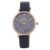 Daniel Klein Leather Analog Blue Dial Women’s Watch-DK.1.12512-7
