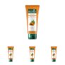 Biotique Papaya Tan Removal Brightening & Revitalizing Face Scrub | Gentle Exfoliation | Smooth and Clear Complexation | 100% Botanical Extracts| Suitable for All Skin Types | 100g (Pack of 4)