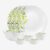 Cello Pack Of 10 Opalware Dazzle Opalware Oleander Dinner Set | Crockery Set |Green Dinner Set(Green, Microwave Safe)