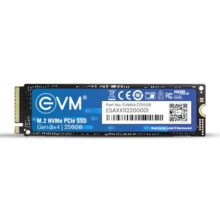 EVM Internal SSD Interface PCle Gen 3×4 Fast Performance, Ultra Low Power Consumption NVME PCIe SSD (EVMNV/256GB, Black, 256GB)