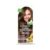 Garnier, Hair Colouring Creme, Long-Lasting Colour, Smoothness & Shine, Color Naturals, Shade: 7.3 Golden Brown, 55Ml + 50G