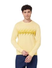 Park Avenue Men’s Poly Cotton One Piece Slim Fit Medium Yellow Casual Round Neck Sweatshirt