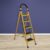 Plantex Compact Foldable 5-Step Ladder For Home – Wide Anti Skid Steps (Yellow & Black) Steel Ladder(With Platform)
