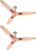 Candes Florence 3 Star 1200 Mm Energy Saving 3 Blade Ceiling Fan(Gold, Pack Of 2)