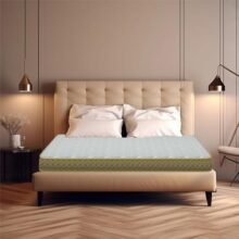 Centuary Mattress Softopedic 2.0 Best King Foam Mattress (72 x 72 x 6) Creamy White