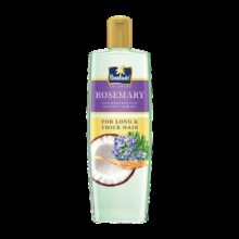Parachute Advansed Rosemary-enriched Coconut Hair Oil|300 Ml Hair Oil(300 ml)
