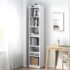 HomeTown Utsav Two-Door Wardrobe with Mirror (Wenge)