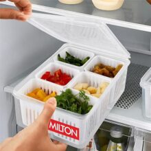 MILTON 6-in-1 Grid Fridge Storage Containers Fridge Organizer Container & Lid, Stackable Box, Space Saving Plastic Containers for Chopped Vegetables, Fruits