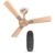 Havells 1200mm Enticer BLDC Prime Ceiling Fan | Compatible with Regulator & Remote, 5 Star, 100% Copper, Breeze, Sleep Mode, Timer | Upto 55% Energy Saving, High Air Delivery | Champagne