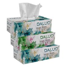 Daluci 2 Ply Facial Tissue Box Car Tissue (3 Boxes (300 Pulls))