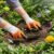 Planetxero Garden Gloves – Durable, Reusable And Breathable Gloves With Protective Claws For Gardening(Gtk)