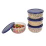Cutting EDGE 900ml Eco-Storage Plastic Container & Organizer Set of 4 for Kitchen, Refrigerator, Lunch & Food Storage (Dark Blue)