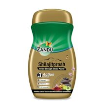 Zandu Shilajitprash | Dual Goodness of Chyawanprash & 2X Shilajit/Shilajeet | Strength, Stamina & 2X immunity* | 450g I 24K Gold Bhasma & 47 Potent Herbs I No added sugar I 100% ayurdevic