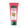 Biotique Fruit Brightening Depigmentation and Tan Removal Face Pack| Ayurvedic and Organically Pure| Tan Removal Face Pack for All Skin Types|100% Botanical Extracts| 100gm