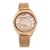 Titan Animalia Quartz Analog Stainless Steel Strap Watch for Women-NS95130WM01