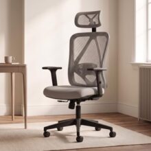 DROGO Ergonaut Ergonomic Office Chair for Work from Home | Computer Chair with 2D Headrest, Armrests & Adjustable Lumbar Support | Breathable Mesh with 120° Recline, 1-Year Warranty (Grey & Grey)