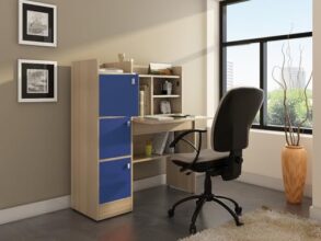 Spacewood Study Table | 3 Year Warranty | Coral|Study Desk with Book Shelf, Office Table, Study Table for Adults, Table with 4 Shelves and 3 Shutter Storage | Engineered Wood | Drift Wood WP